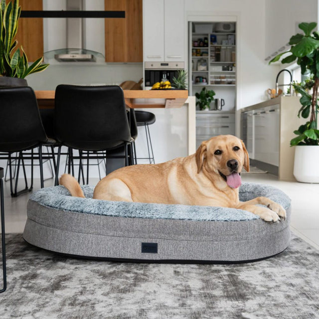 Orthopaedic Memory Rest Dog Bed, Artic Faux Fur