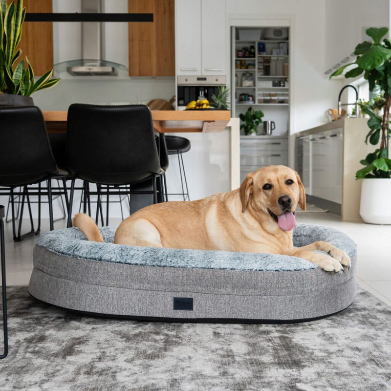 Orthopaedic Memory Rest Dog Bed, Artic Faux Fur