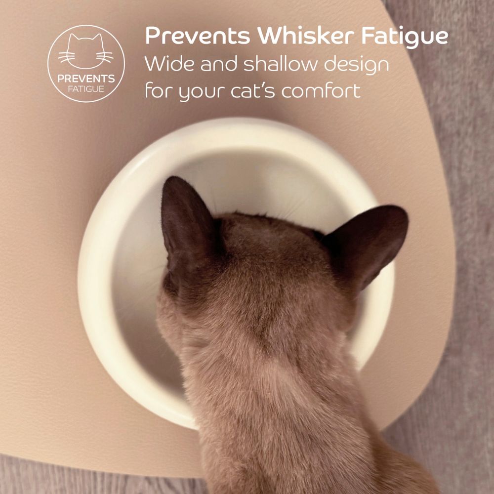 Ceramic Cat Dining Bowl - Elevated