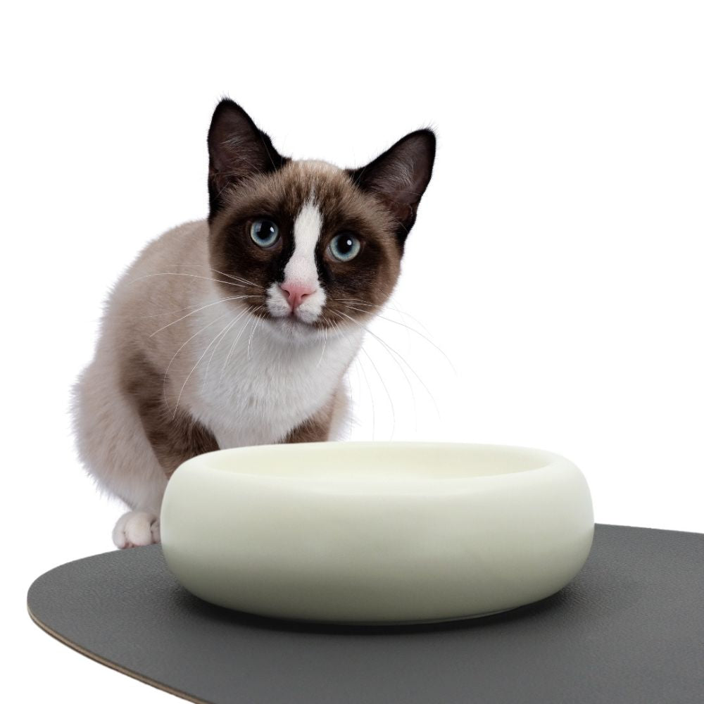 Ceramic Cat Dining Bowl - Standard