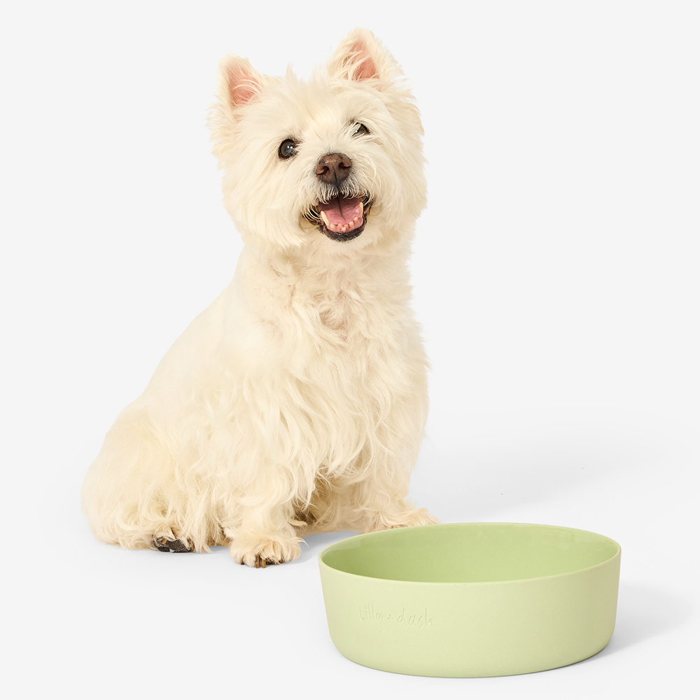 Ceramic Dog Bowl, Mint