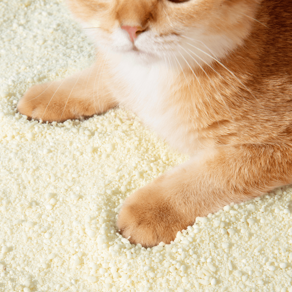 Michu Wonder Litter Plant-Based Auto Litter Box Friendly | Unscented