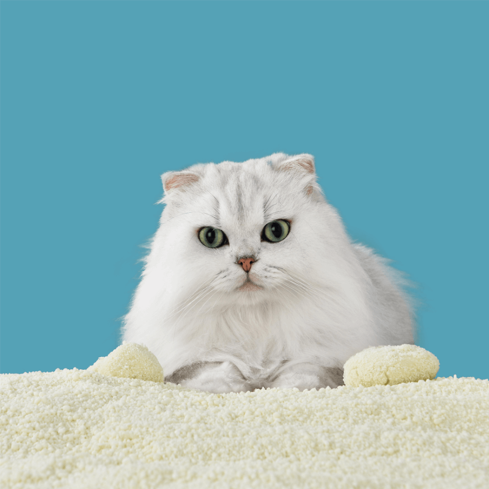 Michu Wonder Litter Plant-Based Auto Litter Box Friendly | Unscented