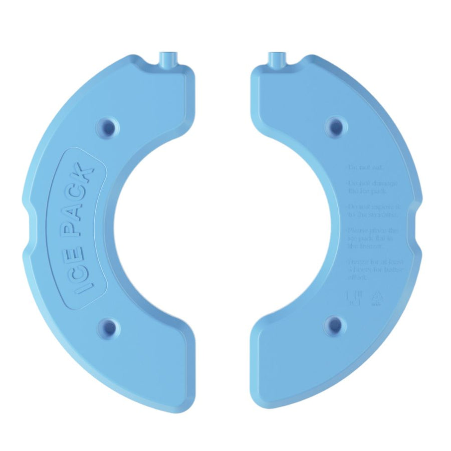 Petwant Automatic Wet Feeder Replacement Ice Blocks - 2 Pack