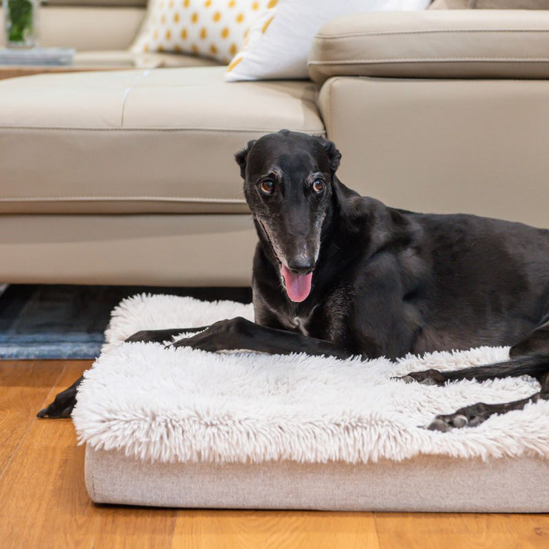 Orthopedic Calming Dog Mat Water Resistant, Aspen Faux Fur