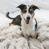 Calming Pet Blanket Water Resistant, Aspen