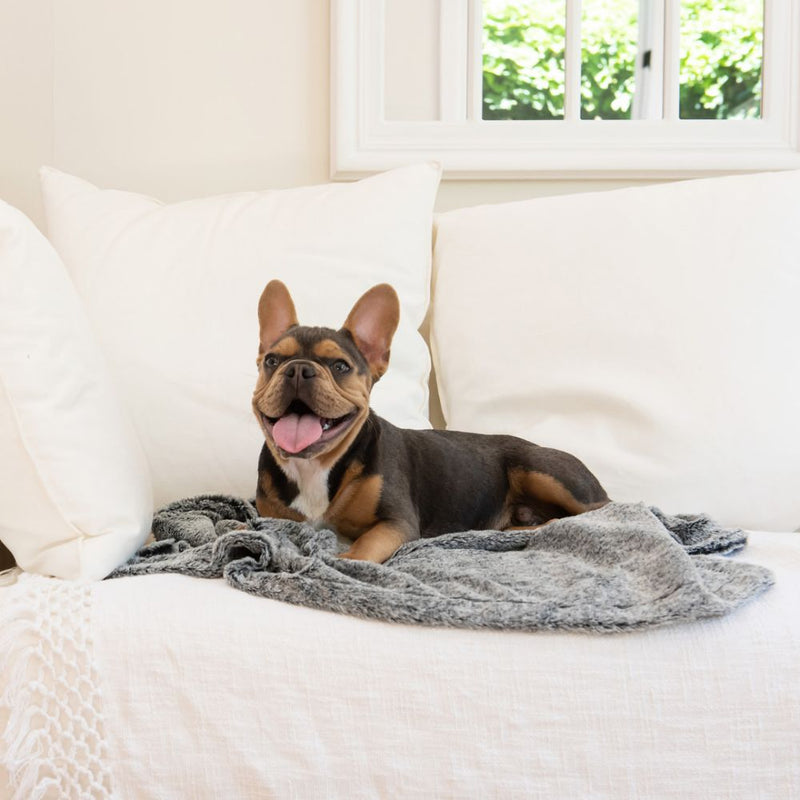 Calming Pet Blanket Water Resistant, Artic Faux Fur