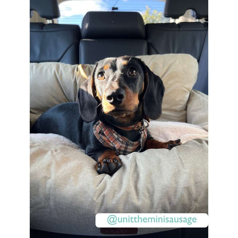 Premium Dog Booster Seat | Medium