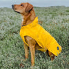 Hunter Milford Raincoat for Dogs