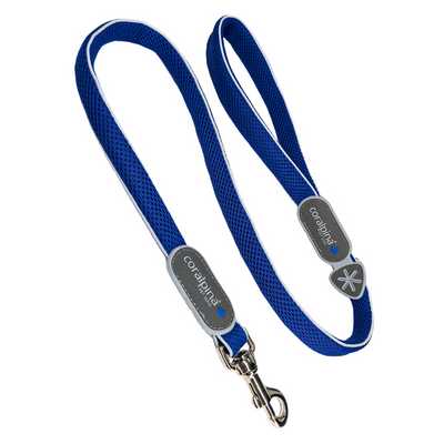 Cinquetorri Dog Leash, Blue