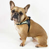 Tre Ponti Adjustable Girth Easy Fit Pet Harness, Camouflage Grey