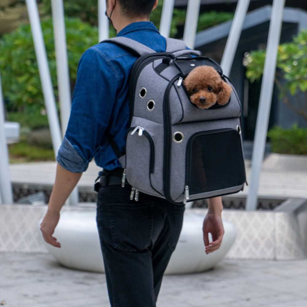 Expandable Pet Backpack