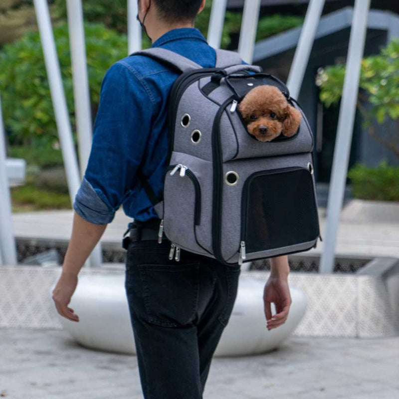 Expandable Pet Backpack