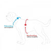 Hunter London Comfort Dog Harness