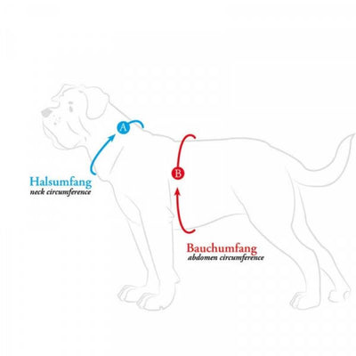 Hunter London Comfort Dog Harness
