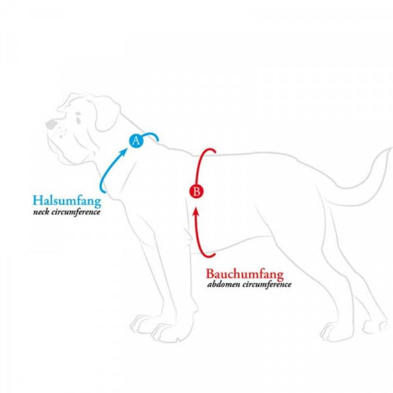 Hunter London Comfort Dog Harness