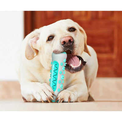Dental Chew Rope Dog Toy