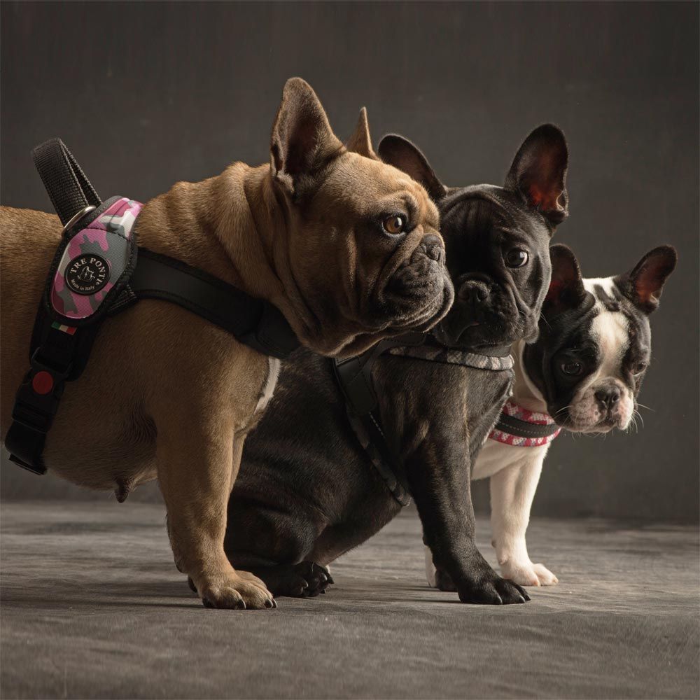 Tre Ponti Primo Adjustable Step In Dog Harness, Camouflage Grey