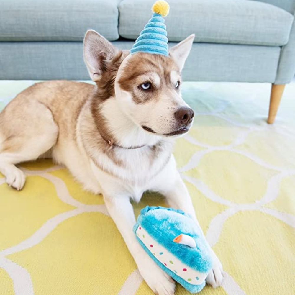Zippy Paws Birthday Cake Plush Squeaker Dog Toy, Blue