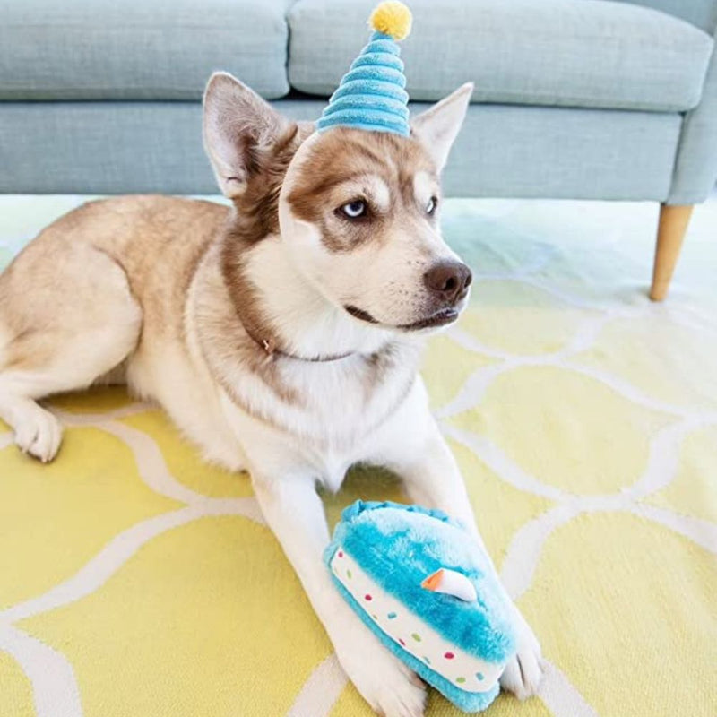 Zippy Paws Birthday Cake Plush Squeaker Dog Toy, Blue