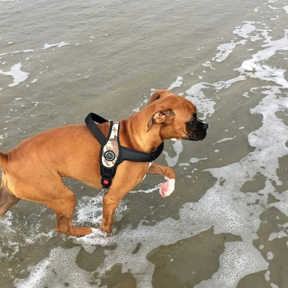 Tre Ponti Primo Adjustable Step In Dog Harness, Camouflage Grey