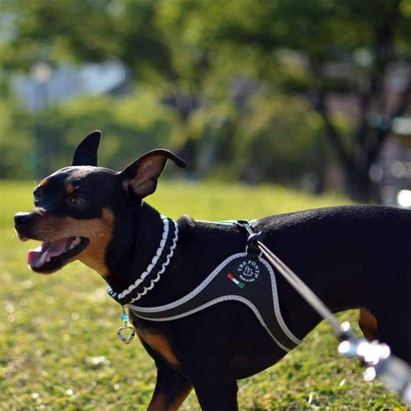 Tre Ponti Genesis Adjustable Step In Harness For Dogs And Cats, Black