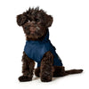 Hunter Milford Raincoat for Dogs