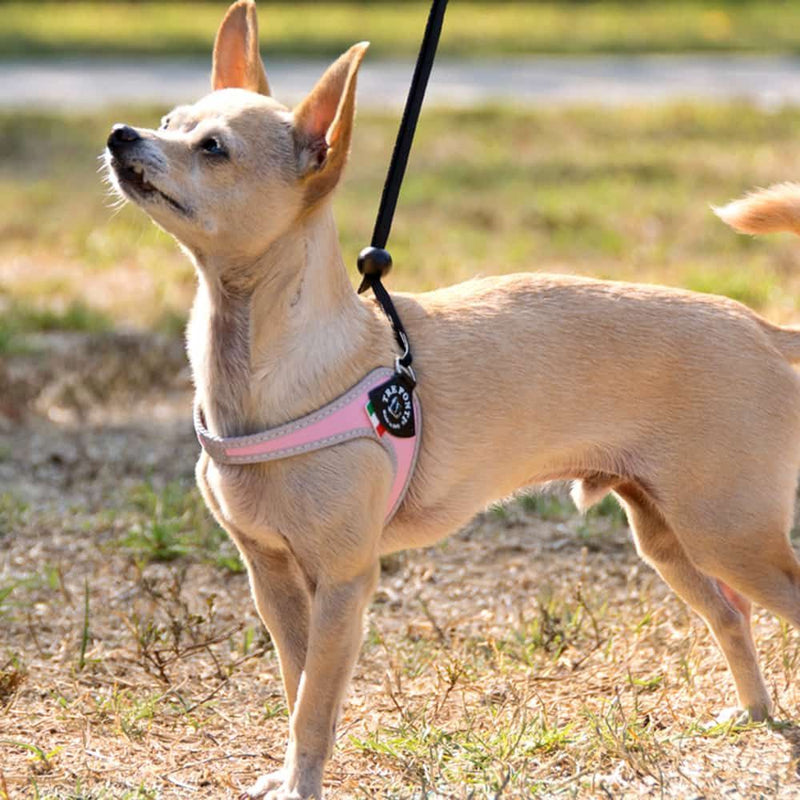 Tre Ponti Genesis Adjustable Step In Harness For Dogs And Cats, Pink
