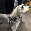 Tre Ponti Genesis Adjustable Step In Harness For Dogs And Cats, Black