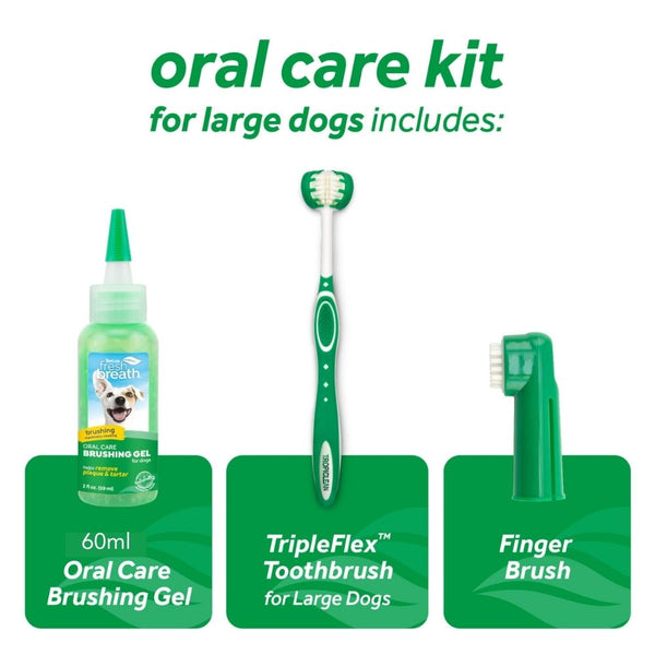 TropiClean Fresh Breath Oral Care Kit for Dogs Modern Pets