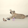 Fringe Studio Paw Shionista Plush Squeaker Dog Toy, 3 Pack