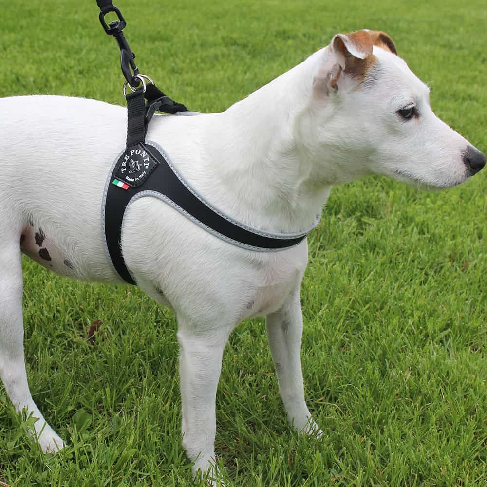 Tre Ponti Genesis Step In Harness for Dogs and Cats, Black