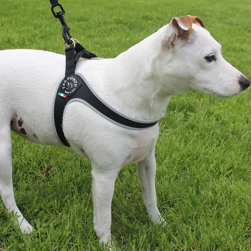 Tre Ponti Genesis Step In Harness for Dogs and Cats, Black