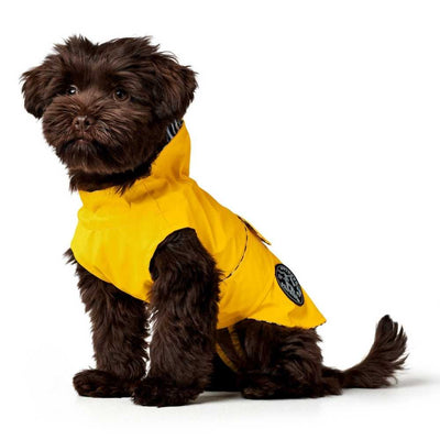 Hunter Milford Raincoat for Dogs