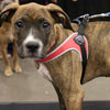 Tre Ponti Genesis Adjustable Girth Easy Fit Pet Harness, Red