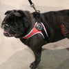 Tre Ponti Genesis Adjustable Girth Easy Fit Pet Harness, Red