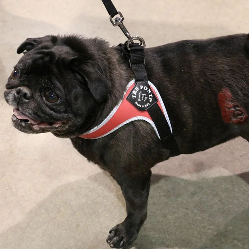 Tre Ponti Genesis Adjustable Girth Easy Fit Pet Harness, Red