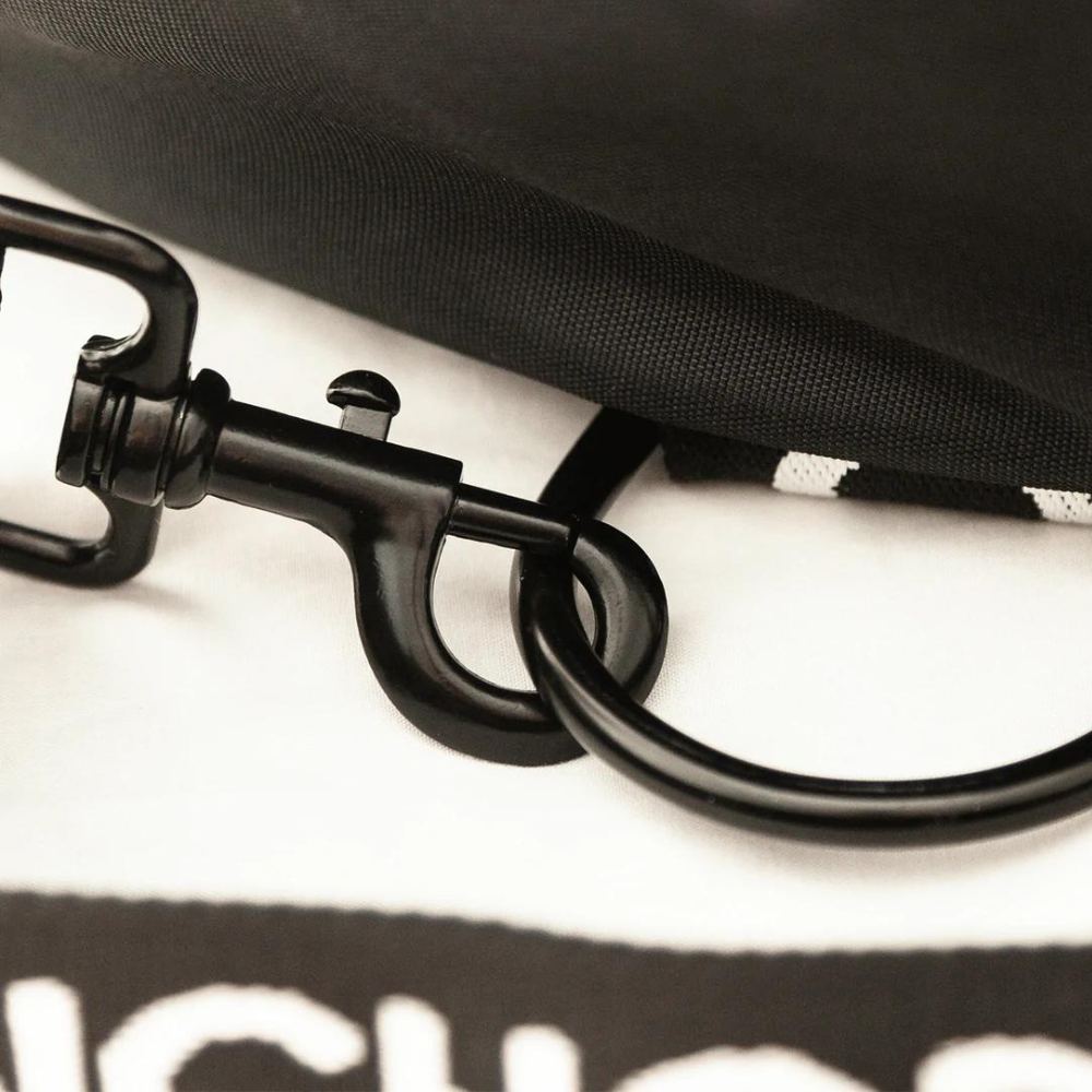 Dog Beach Anchor Bag with Leash