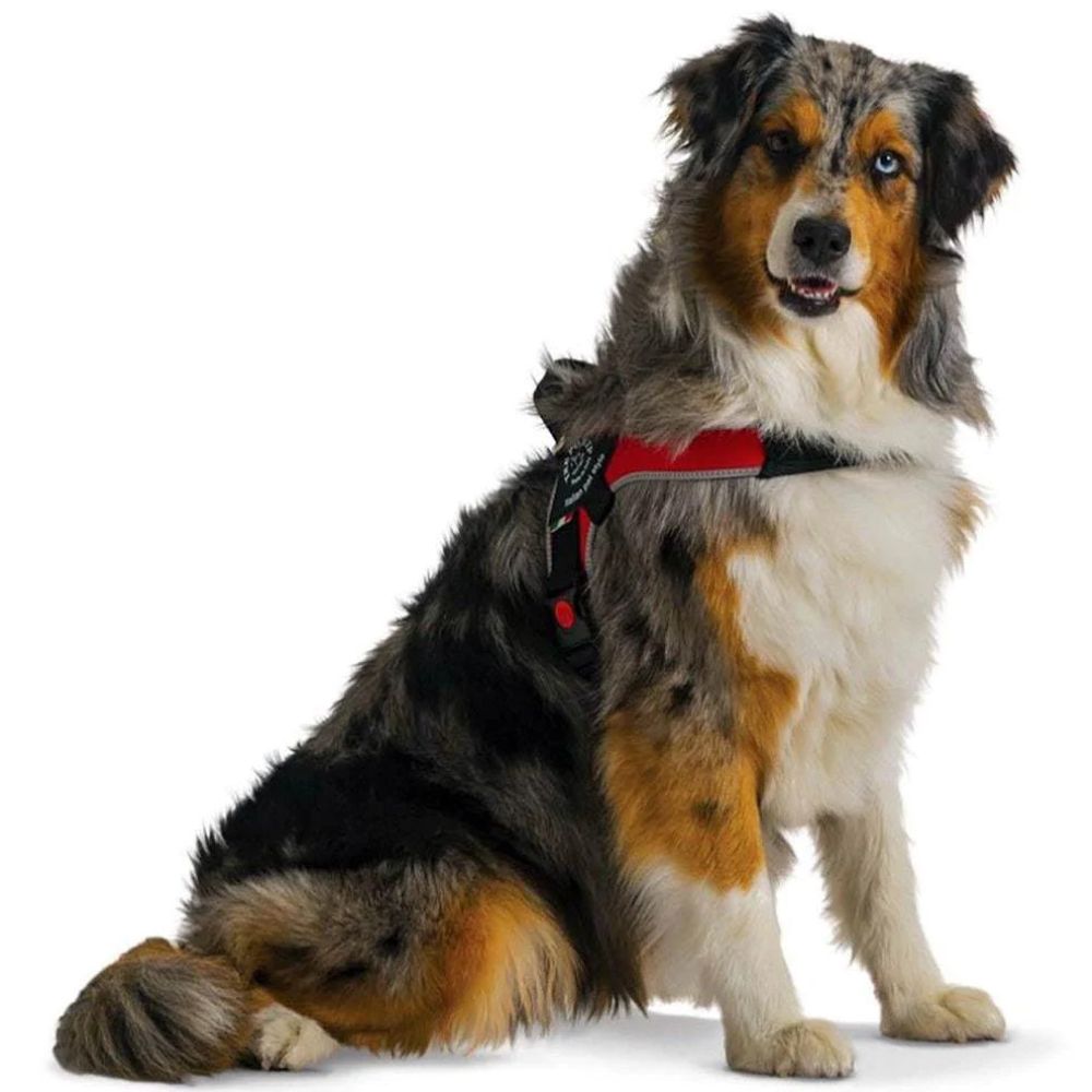 Tre Ponti Brio Adjustable Step In Dog Harness, Red