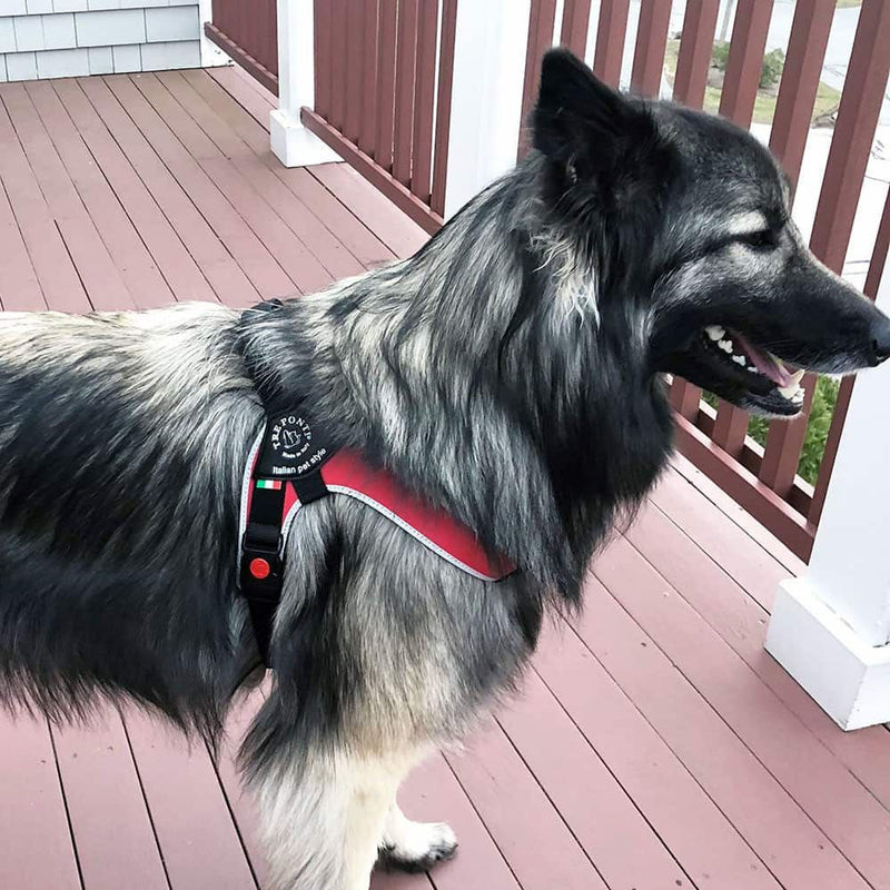 Tre Ponti Brio Adjustable Step In Dog Harness, Red