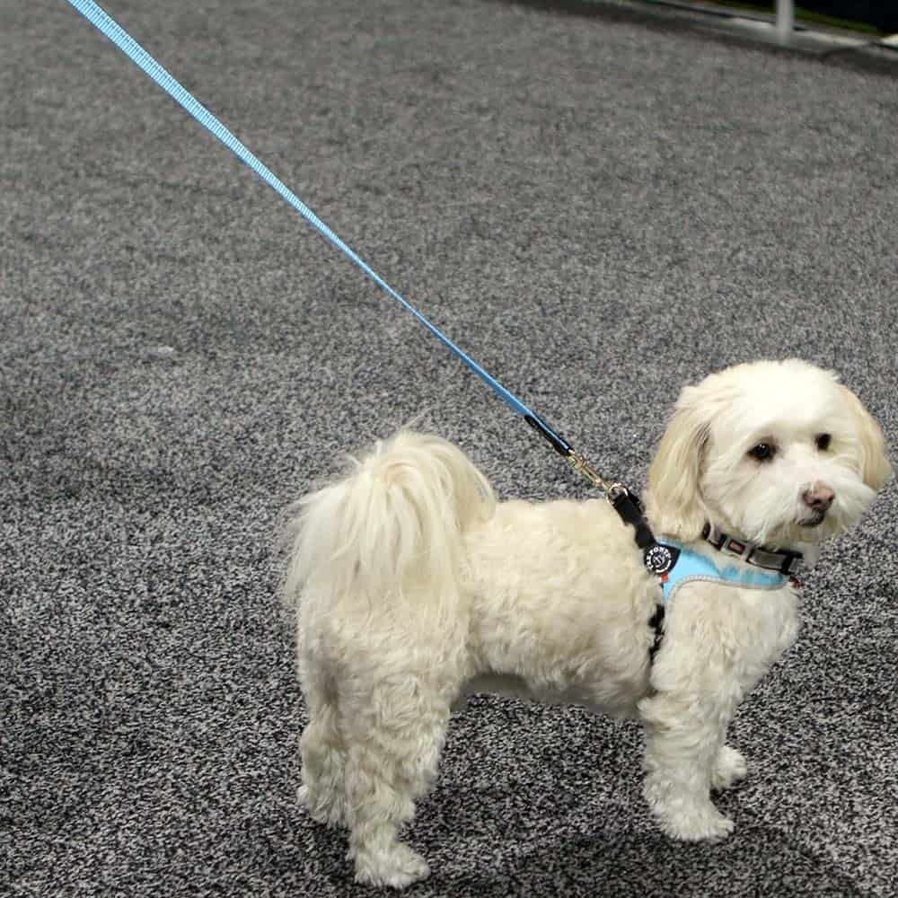 Tre Ponti Reflective Dog Leash, Pink