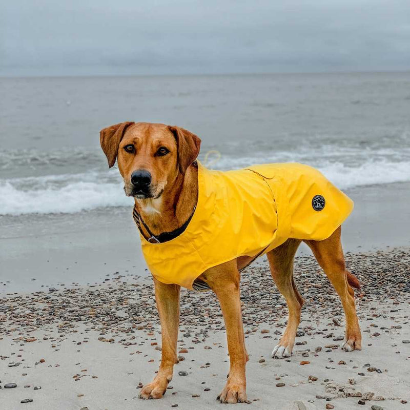 Hunter Milford Raincoat for Dogs