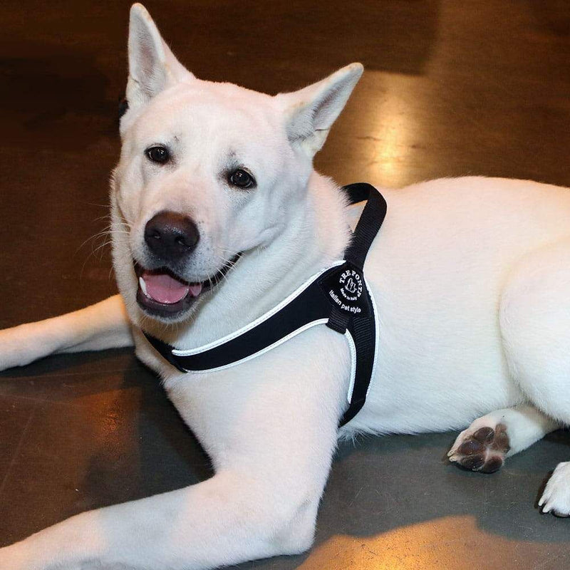 Tre Ponti Brio Adjustable Step In Dog Harness, Black