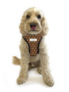 Personalised Pet Harness - Louie