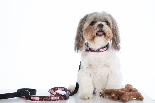 Personalised Dog Leash - Louie