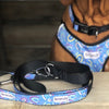 Personalised Dog Leash - Rainbow Dreams