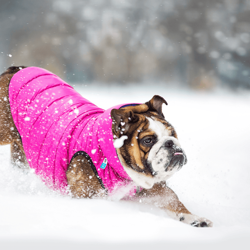 Airy Vest Dog Jacket Reversible Puffer Dog Jacket Airy Vest