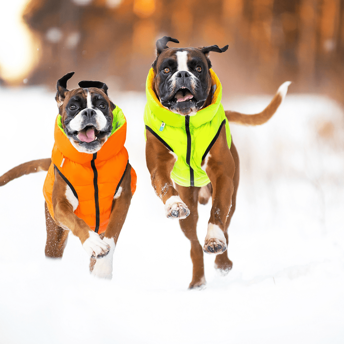 Reversible Puffer Dog Jacket Airy Vest Modern Pets