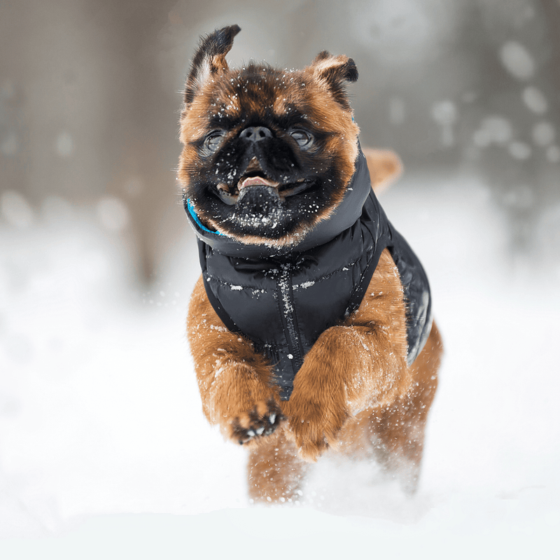 Airy Vest Dog Jacket Reversible Puffer Dog Jacket Airy Vest
