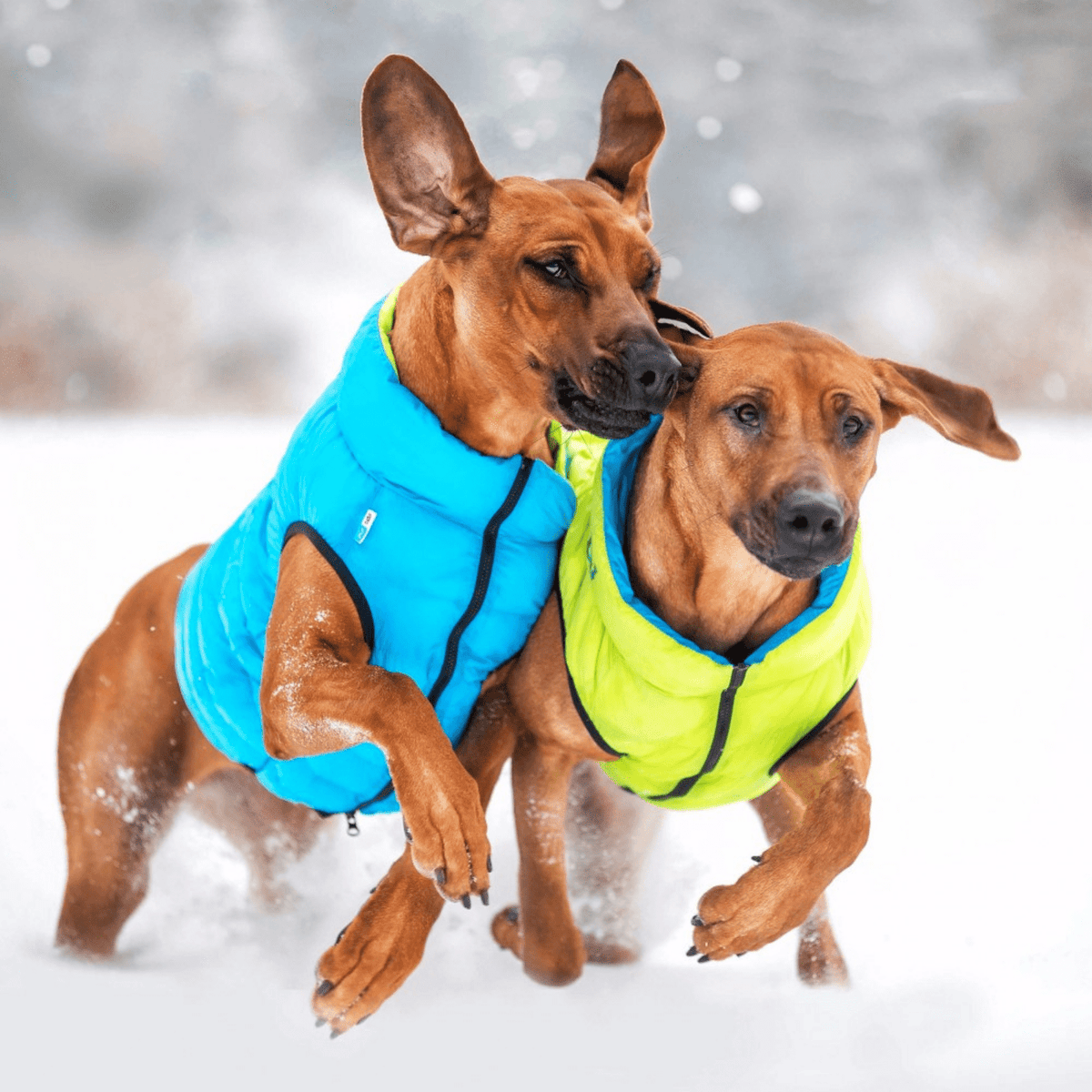 Reversible Puffer Dog Jacket Airy Vest Modern Pets